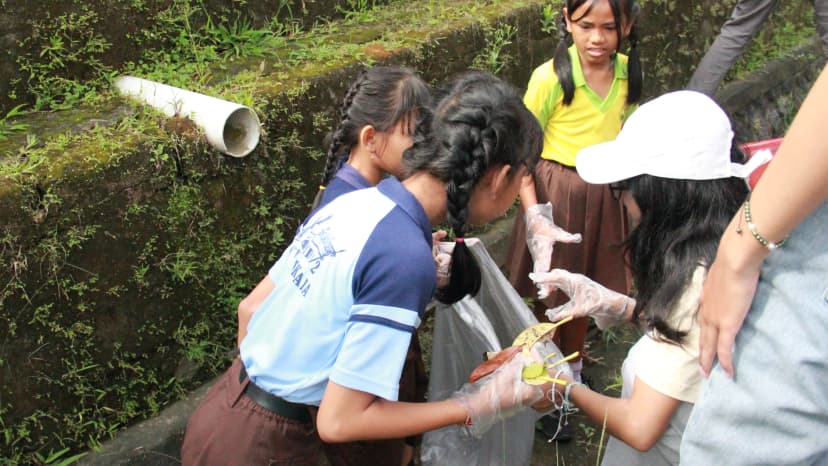 cover World Environment Day 2024